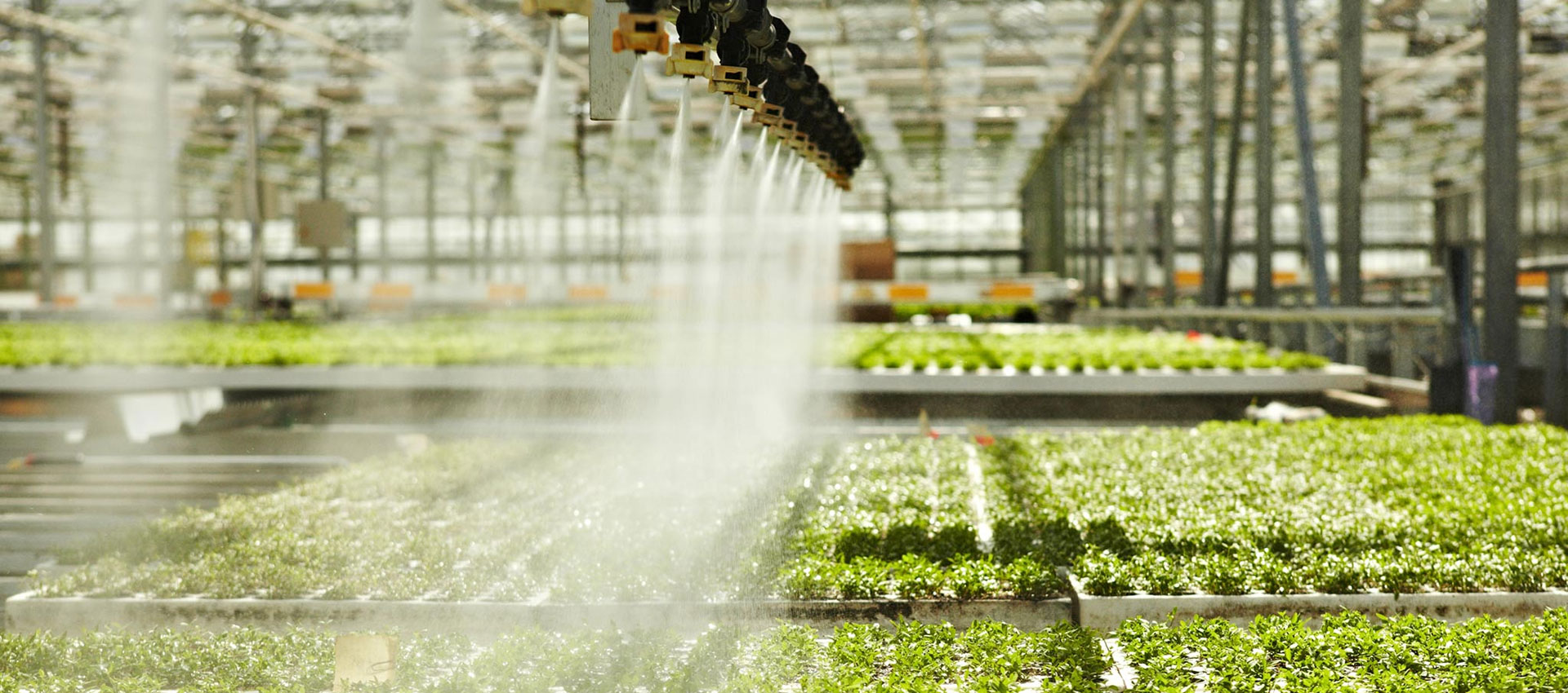 Agricultural Irrigation